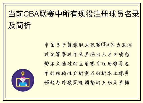 当前CBA联赛中所有现役注册球员名录及简析