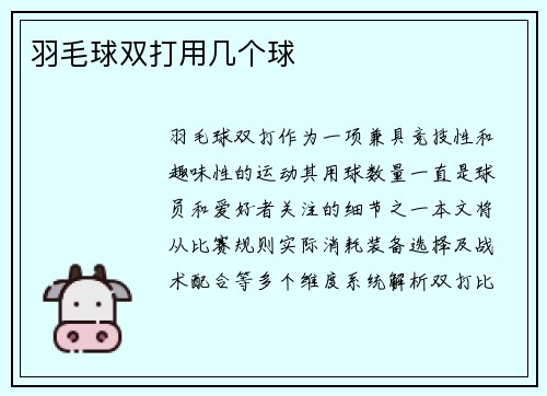 羽毛球双打用几个球