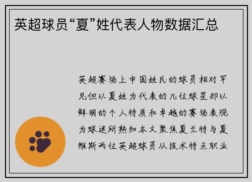 英超球员“夏”姓代表人物数据汇总